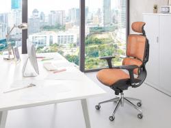 Chairs                    